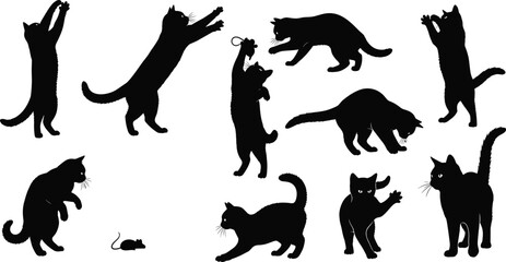 Set of playful cat silhouettes jumping, hunting and playing isolated on white background, domestic feline pet illustration collection for animal design © Jakir