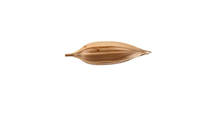 Dried flax seed pod for healthy nutrition and oil, isolated on white or transparent background. PNG