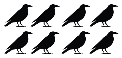 Obraz premium collection of birds set of silhouettes of birds