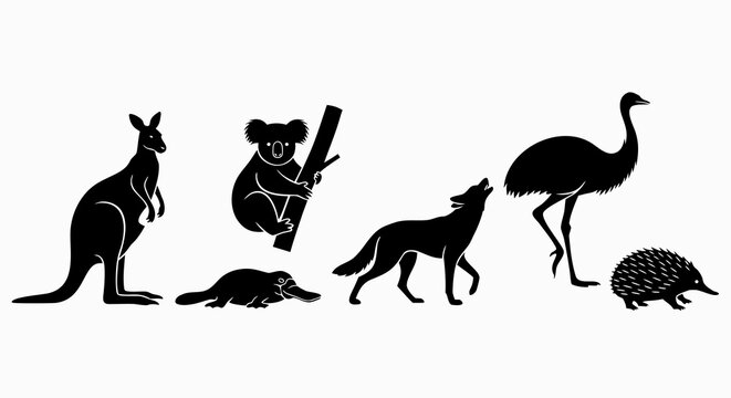 Black and white silhouette illustration of a collection of Australian wildlife including a kangaroo koala platypus dingo emu and echidna
