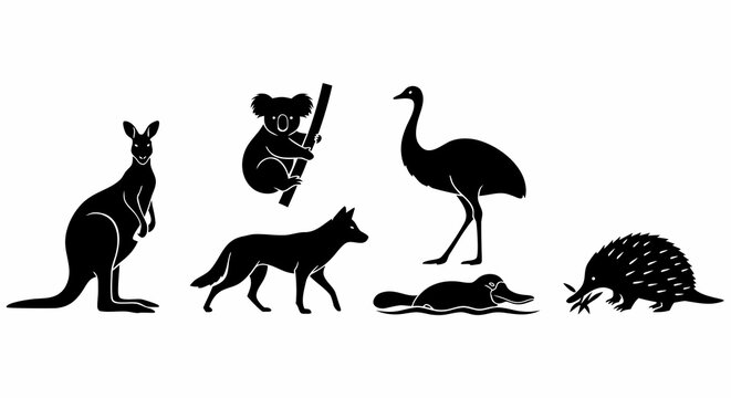 Black and white silhouette illustration of a collection of Australian wildlife including a kangaroo koala emu dingo platypus and echidna