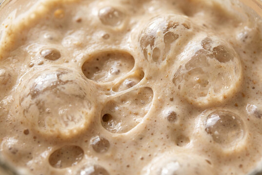 Macro view of active bubbling sourdough starter fermentation process for bread baking