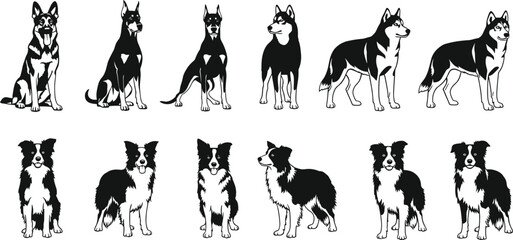 Black and white vector silhouette set of various dog breeds including German Shepherd Doberman Pinscher Siberian Husky and Border Collie for pet industry branding © Monjurul