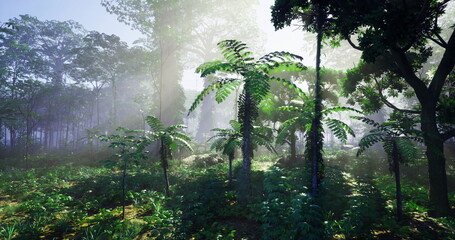Naklejka premium sunlit tropical rainforest alive with ferns and dense undergrowth, humid atmosphere highlighting biodiversity for field research, conservation and eco tourism