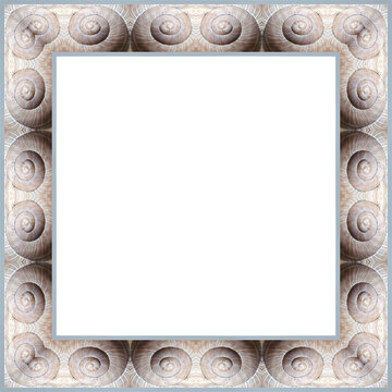 Moderner heller freigestellter Fotorahmen mit einen Rahmen aus Schneckenh&auml;usern