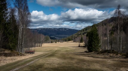 Nature-inspired visual concepts exploring seasons, sustainability, eco lifestyle, and mindfulness through immersive perspectives and diverse artistic styles.