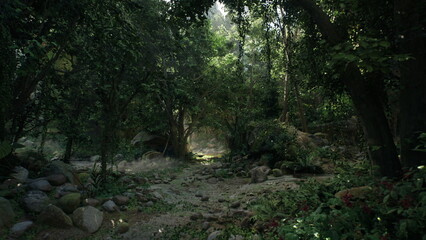 Fototapeta premium Shaded forest clearing under dense canopy, mossy rocks and overgrown path lead into shadowed glade, dappled sunlight filters through layered foliage, damp soil
