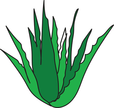 daun lidah buaya.eps
