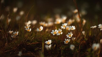 Nature-inspired visual concepts exploring seasons, sustainability, eco lifestyle, and mindfulness through immersive perspectives and diverse artistic styles.