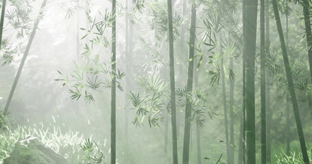 A serene bamboo forest captures the essence of tranquility as mist lingers among tall green stalks. Soft light filters through the foliage, creating a calming atmosphere.