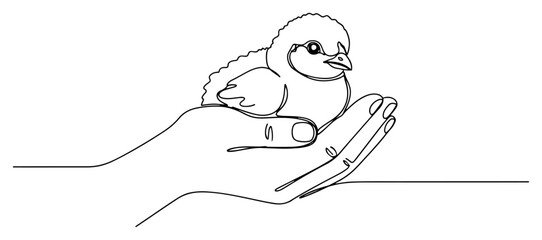 Minimalist one line drawing of a human hand gently holding a cute baby chick © Katarzyna