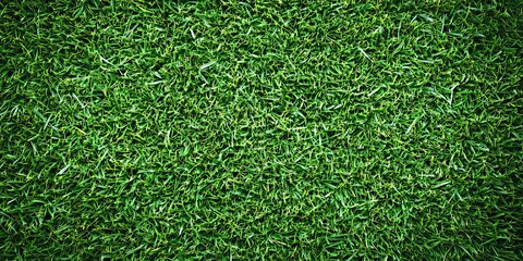 Obraz premium Vibrant Green Meadow Grass Surface with Soft Texture, Perfect for Nature Backgrounds and Lawn Scenes