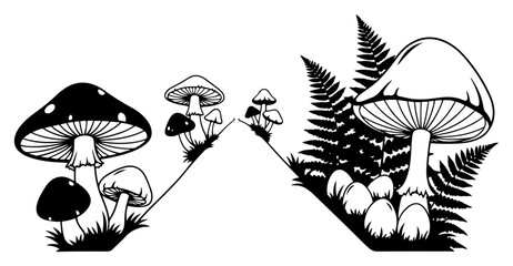 Black and white silhouette of forest mushrooms and fern leaves in nature © Katarzyna