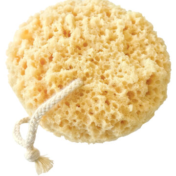 bath sponge