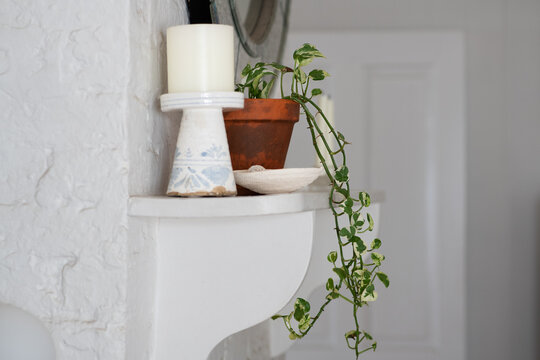  indoor plant on mantle, pothos or devils ivy