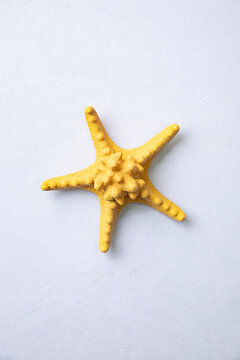 Concept for summer - bright yellow starfish isolated on a clean, textured white background, minimalist composition