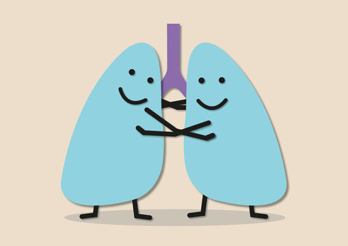 Healthy lungs, conceptual illustration