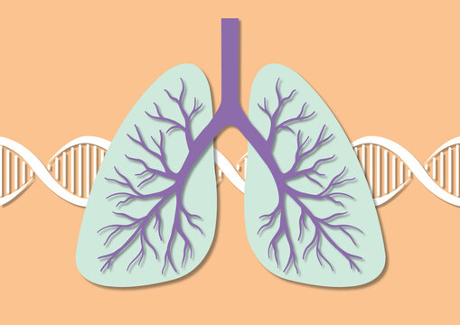 Hereditary lung disease, conceptual illustration