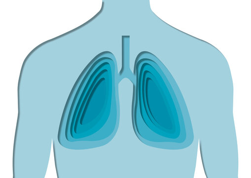 Human lungs, conceptual illustration