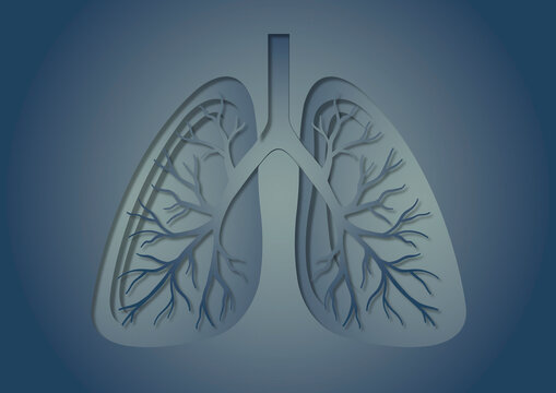Unhealthy lungs, conceptual illustration
