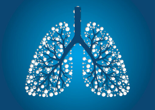 Human lungs, conceptual illustration