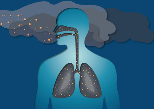 Air pollution from wildfires, conceptual illustration