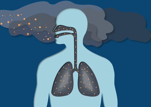 Air pollution from wildfires, conceptual illustration