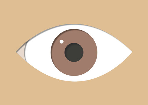 Human eye, illustration