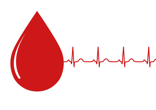 Cardiovascular health, conceptual illustration