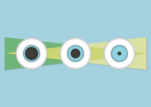 Pupillary light reflex, illustration