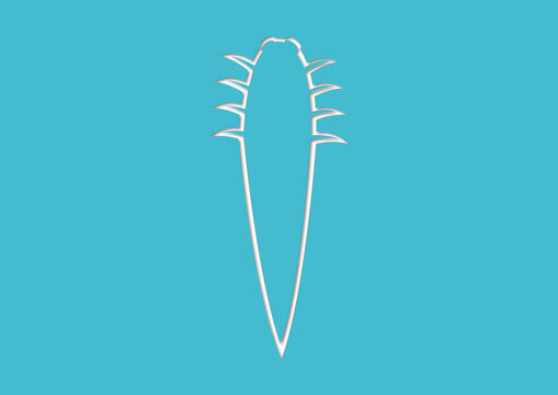 Eyelash mite, illustration