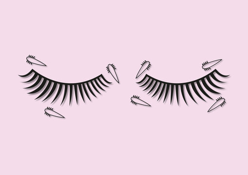 Eyelash mites, illustration