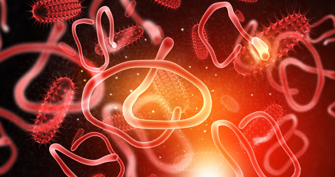 3D medical illustration of the thread-like Ebola virus structure with its characteristic hooked filaments floating on a glowing abstract scientific background.