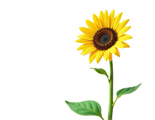 Obraz premium A bright and cheerful single sunflower with lush green leaves, perfect for adding some warmth and happiness to your design