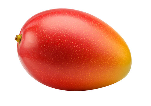 Fresh red and yellow mango fruit isolated on transparent background transparent background