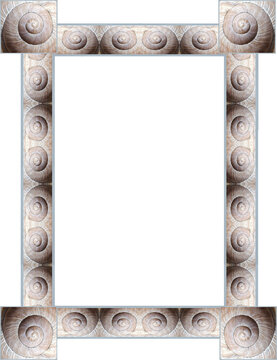 Moderner heller freigestellter Fotorahmen mit einen Rahmen aus Schneckenh&auml;usern