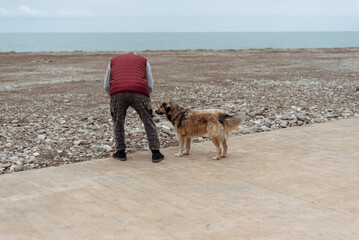 A man feeds a dog while walking along the beach.