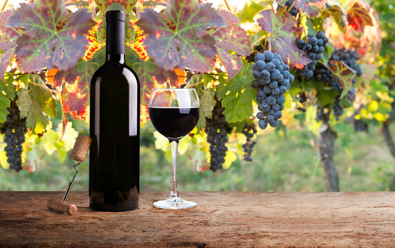 Red and white wine bottles with a grape basket on a rustic wooden table, set against a picturesque vineyard landscape. A perfect scene for wine lovers and countryside ambiance. High quality photo