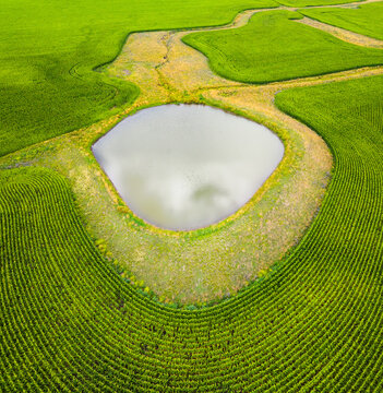Patterns from the sky of Corn farm near Glen Innes, New South Wales