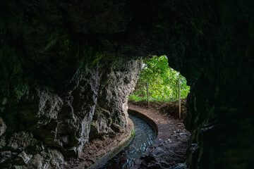Leśna ścieżka wzdłuż lewady w bujnym krajobrazie Madery © Kamil_k2p