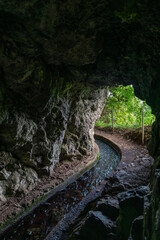 Leśna ścieżka wzdłuż lewady w bujnym krajobrazie Madery © Kamil_k2p