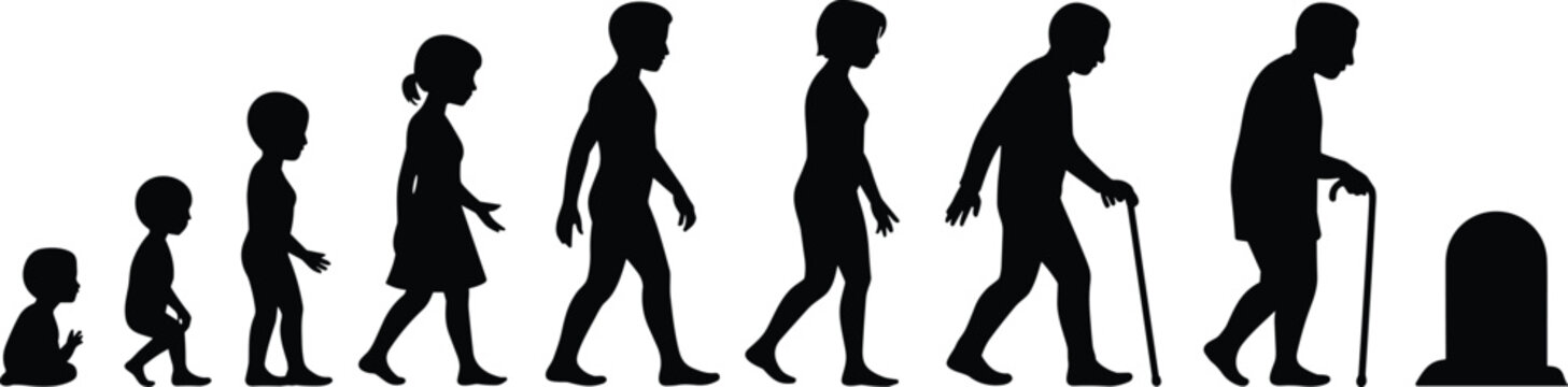 Silhouette illustration of human life stages from infancy to old age, aging progression, generational concept, mortality theme, creative design element, life cycle artwork