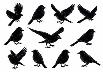 Obraz premium A Collection of Black Bird Silhouettes in Various Poses, Ideal for Artistic and Nature-Themed Projects