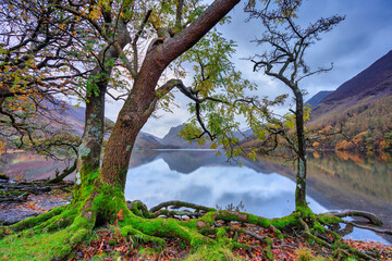 Fototapeta premium Beautiful autumn landscape of England. United Kingdom