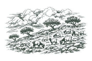 Vintage Woodcut Vector Illustration of a Goat Herd Grazing on a Rocky Hillside in Traditional Hand Drawn Engraving Style with Rural Landscape © Chairul