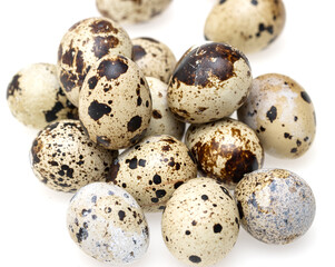 Fototapeta premium A bunch of quail eggs with brown spots