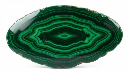 Obraz premium Malachite Slice with Vibrant Green Bands and Eye-Like Pattern, Natural Mineral Specimen