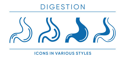 Digestion - Multi-style Icons Set for Health Products
