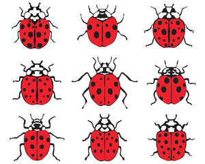 Fototapeta premium Set of different cheerful ladybugs, illustration