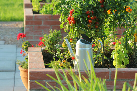 A modern vegetable garden with raised bricks beds